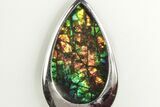 Colorful Ammolite (Fossil Ammolite Shell) Pendant - Sterling Silver #205919-1